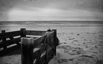 Best Wallpaper Photography Black And White Beach