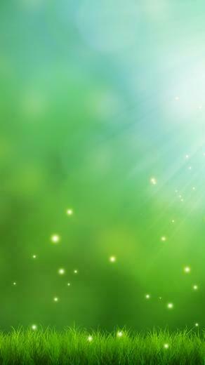 iPhone Wallpaper HD High Definition Green Background Background