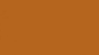 Light Brown Color Background Movdata