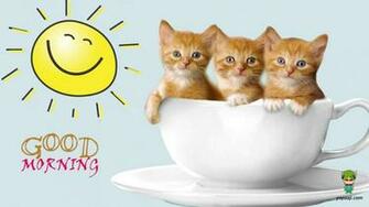 Good Morning Quotes Funny Pictures And Graphics Quote