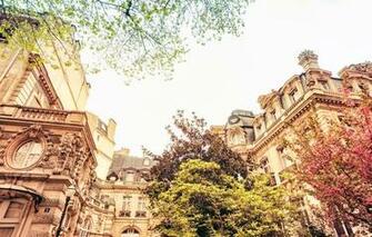 Wallpaper Paris France City Spring Bloom Trees