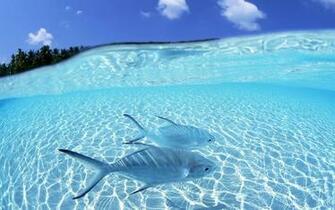 HD Tropical Island Beach Paradise Wallpaper And Background