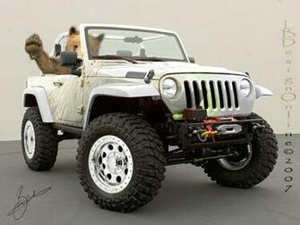 Jeep Wallpaper You Are Ing The Named It