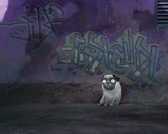 Funny Pug Cartoon Humor Cute Wallpaper