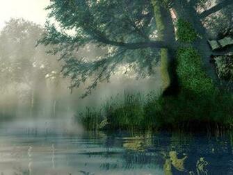 Rain Beautiful Nature Wallpaper Picture Gallery
