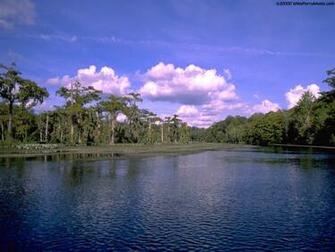 These Pictures Are From Wakulla Springs Florida Vail Colorado