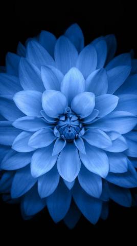 Parallax Wallpaper Top Background