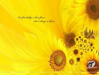 Buntybubly Biggest Library Of Wallpaper For Desktop
