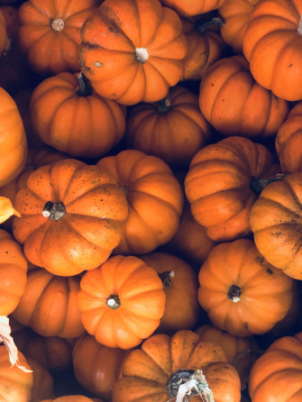 Best Of Aesthetic Wallpaper Fall Full HD