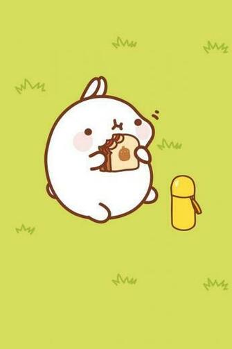 Lollimobile Molang Wallpaper Buy Now Kawaii