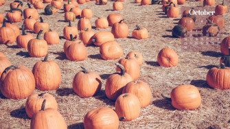 October Calendar Image Wallpaper