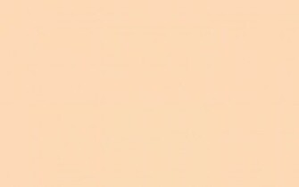 Peach Color Background Solid
