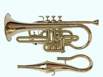 Amazon Global Art World Stylish And High Grade Valve Cornet