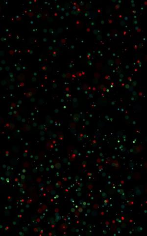 Wallpaper Points Green Glare Bokeh Red Circles And Black