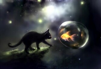 Cats Image Black Cat Wallpaper Photos