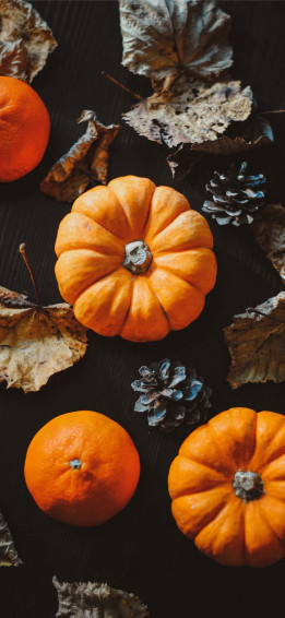 Fall Halloween iPhone Pumpkin Flat Lay Wallpaper