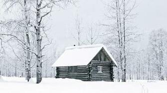 Winter Snow Woods British Columbia Cabin Logs Wallpaper Background