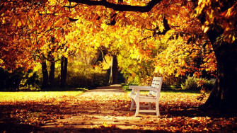 HD 1080p Fall Wallpaper