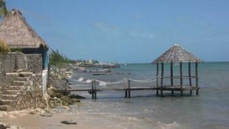 Cancun Shoreline Wallpaper