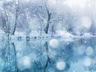 Winter Snowfall 4k HD Desktop Wallpaper For Ultra Tv