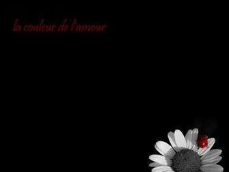 Wallpaper Pack No4 Spec2 Black And White Photography Desktop