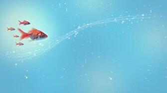 Fish Swimming Widescreen Wallpaper