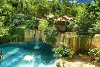 Tropical Rainforest HD Wallpaper Of Forest