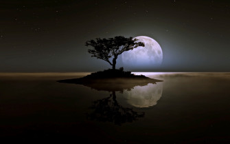 Alone But Happy Wallpaper