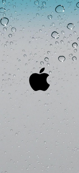 Wallpaper