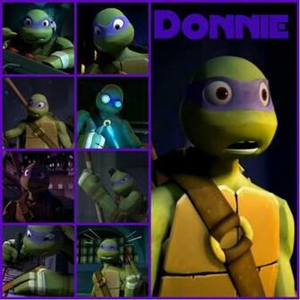 Tmnt Donnie Collage By Culinary Alchemist