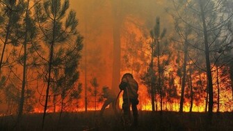 Forest Fire HD Wallpaper Background Of Your Choice