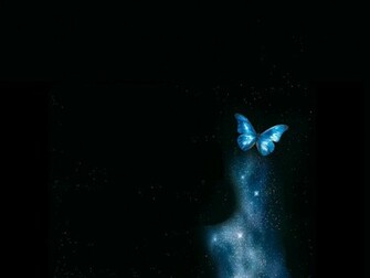 Papillon Wallpaper