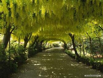 Wallpaper Natural Scenery Index