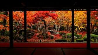 Gorgeous Autumn Enkoji Temple Wallpaper