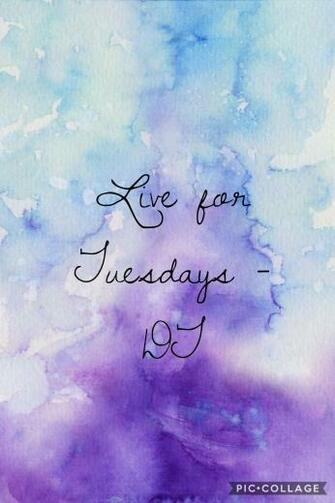 Tuesday Is The Best Day Of Week With Image Dolan Twins