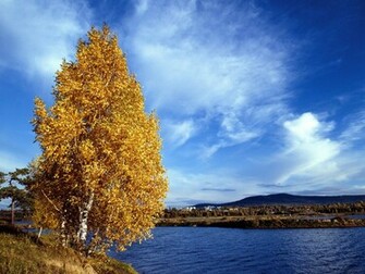 Autumn In Siberia Wallpaper