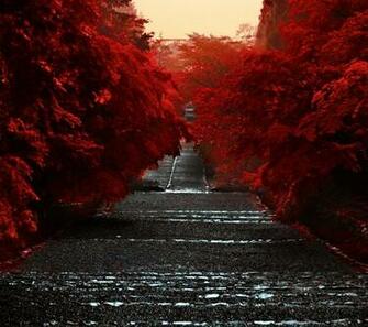 Japan Honshu Island Wallpaper For Sony Xperia Z