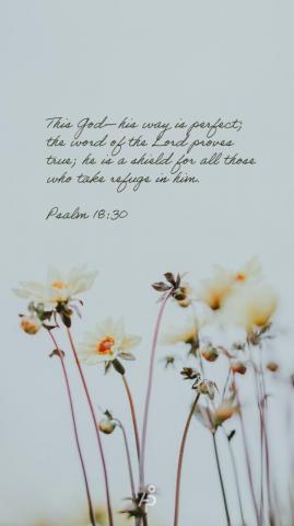 Bible Verse Phone Wallpaper Aop Homeschooling