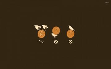 Carry A Coconut Wallpaper Funny
