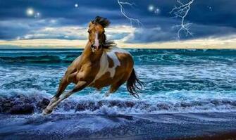 Horses Wallpaper Mix HD