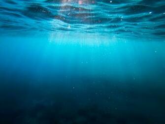 Underwater Image Stock Photos On