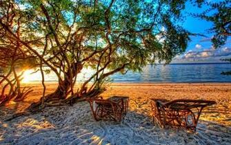 Summer Scene Wallpaper