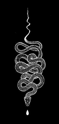 Ella Basaldua On Project In Snake Wallpaper