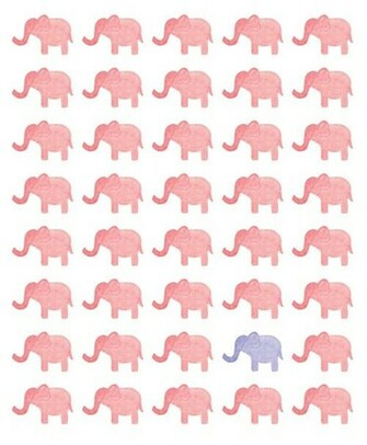 Elephant Mobile Wallpaper And Background