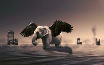 Elephant Creative Wallpaper Animal Desktop Background