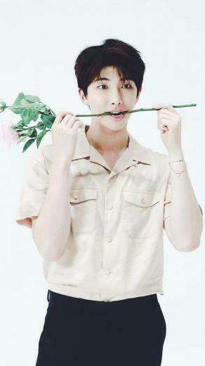 Bts Aesthetic Kim Namjoon Wallpaper Like Re If You Save