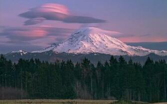 Mount Rainier Seattle Forests Landscapes Mountains Wallpaper