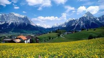 France Landscape Flower Farm Wallpaper City