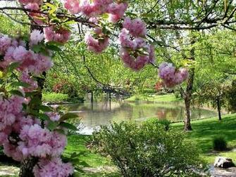 Spring Garden Wallpaper HD Desktopinhq