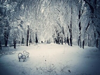 Winter Scenes For Desktop Wallpaper In HD